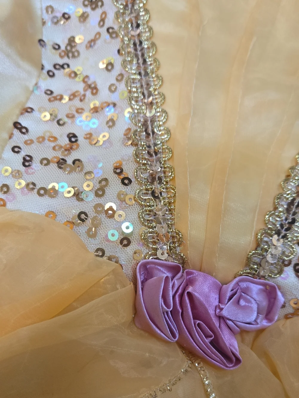 Disney Princess Belle Dress/Costume